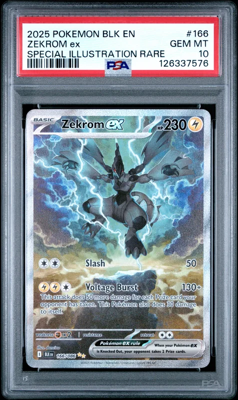 cardshq245870