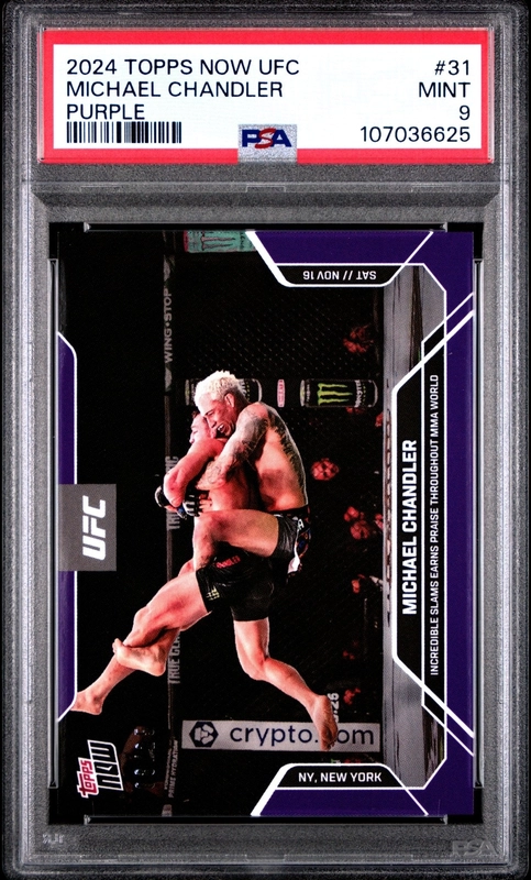 collectorstore93704